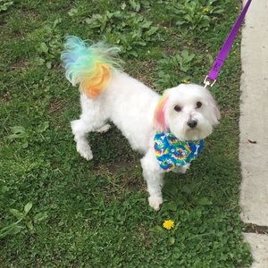 Meet your Posher, Carolyn